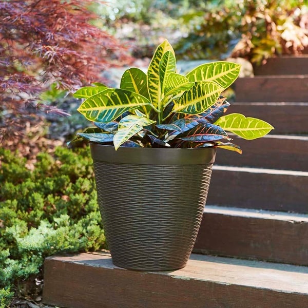 Southern Patio Jamaica Wicker Planter