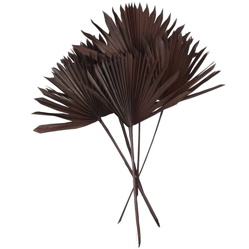 Dried Plant Palm Leaf Handmade Large Sun Spear Leaf Home Decor Natural Foliage - Dark Brown - Roche River Decor - Dark Brown