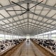 preview thumbnail 13 of 42, 240"/264"/288" HVLS Industrial Ceiling Fan 120V 1-Phase with Aluminum Blades for Warehouse, Factory, Gym, Barn