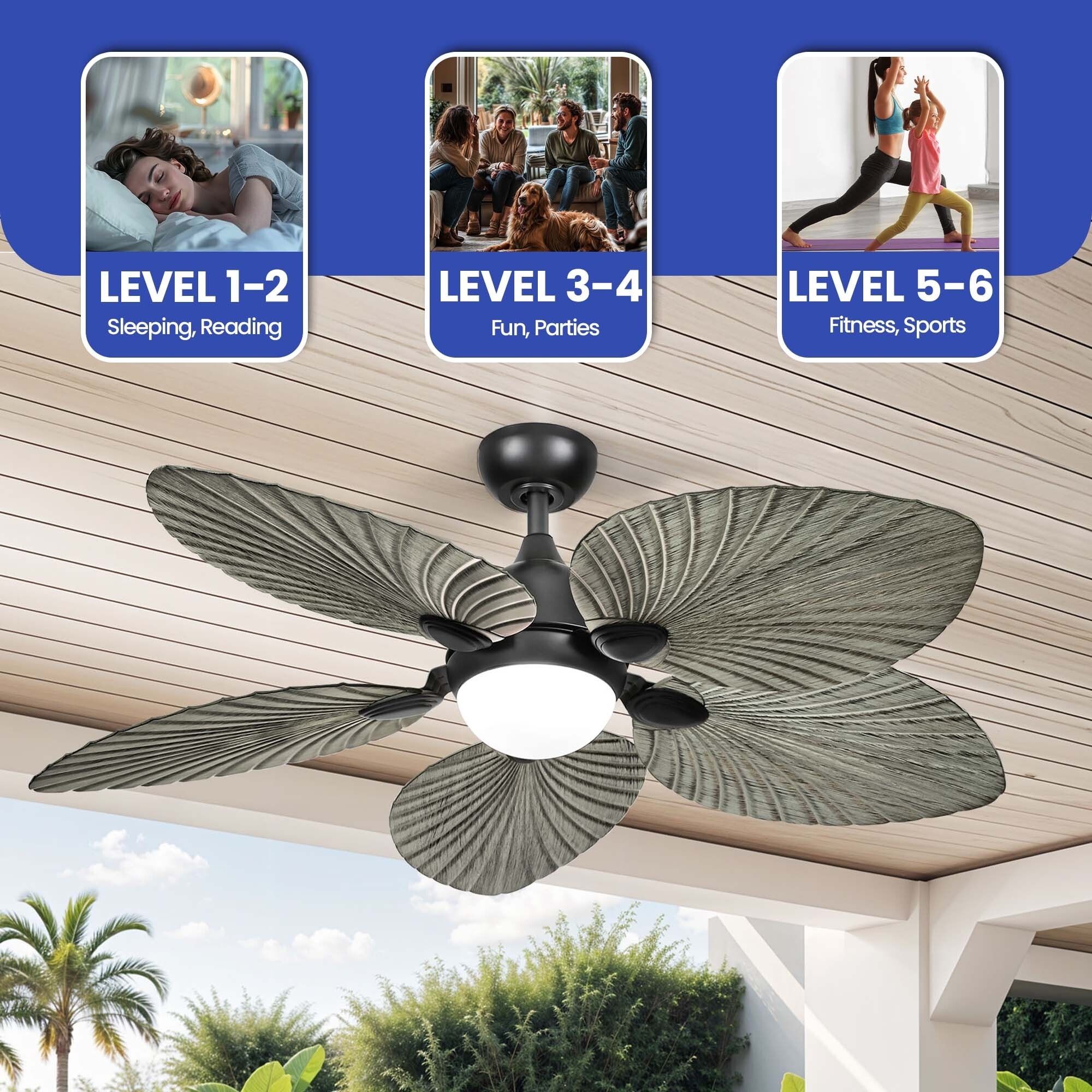 Silent Operation Tropical Ceiling Fan - 52 Inch, DC Motor, 6-Speed