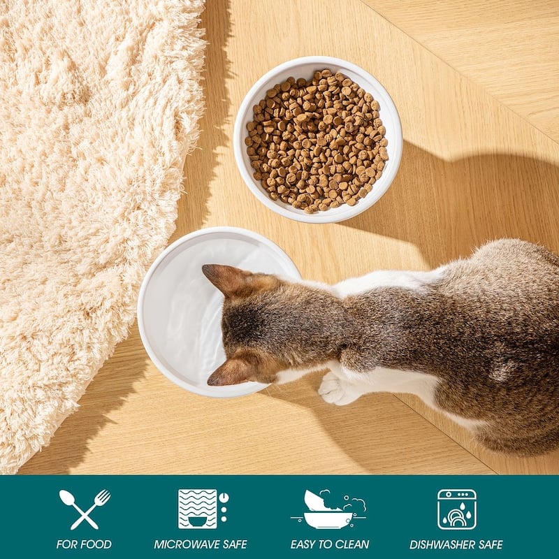 vancasso Elevated Stoneware 2-Piece Raised Dog & Cat Bowl Set