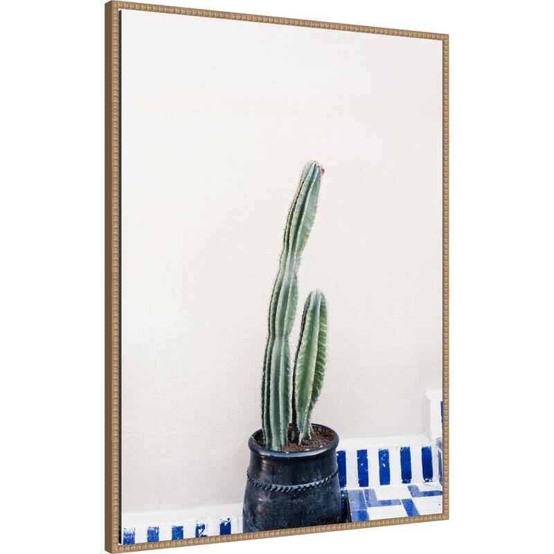 Green cactus and blue pottery in Morocco by Photolovers Framed Canvas Wall Art Print