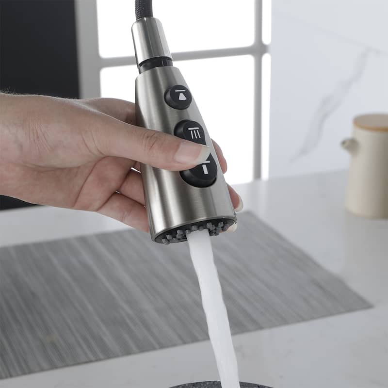 Kitchen Faucet with Pull Down Sprayer Stainless Steel