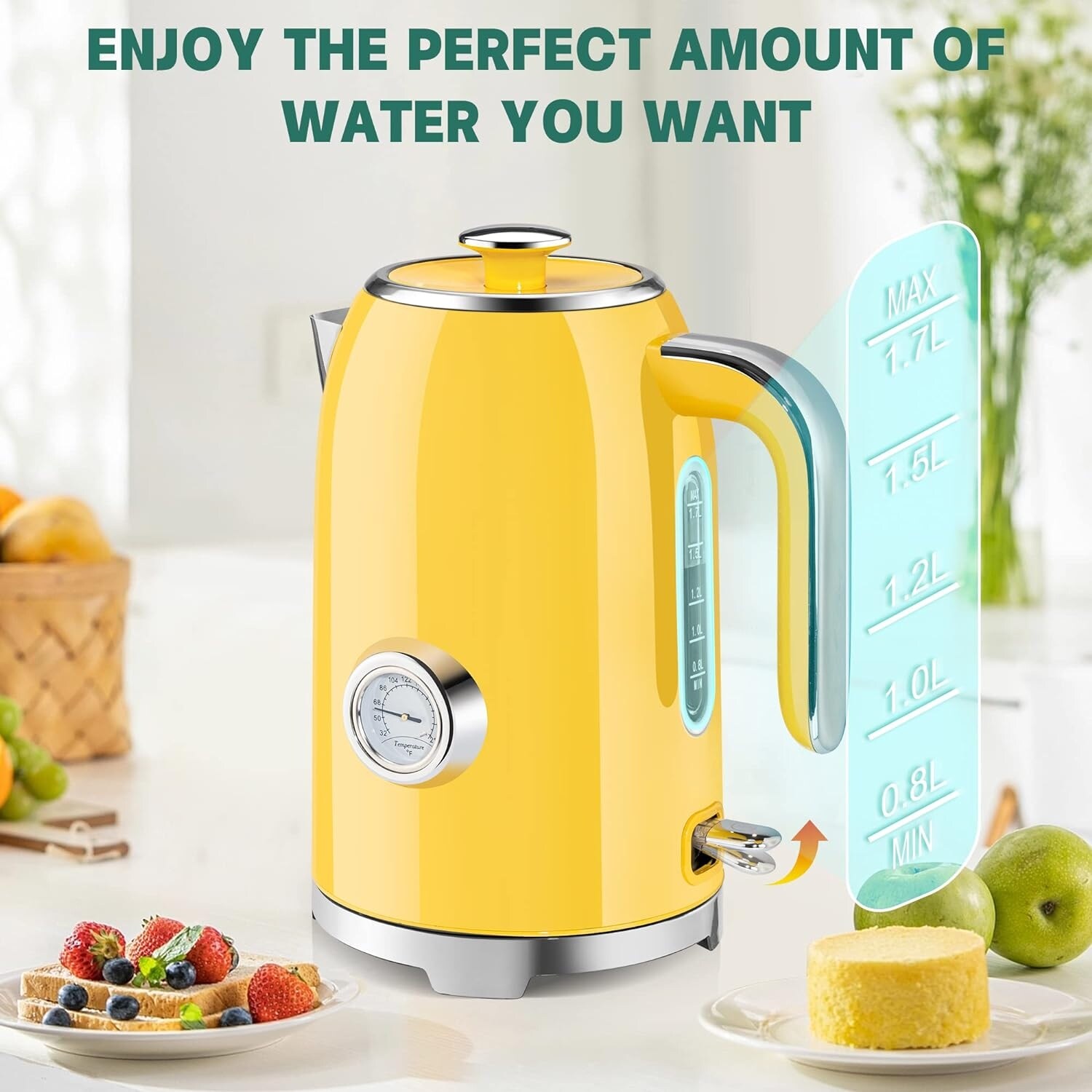 https://ak1.ostkcdn.com/images/products/is/images/direct/1d4353d1839538a367a3071bb2c601d207fe128e/Electric-Water-Kettle-With-Thermometer.jpg