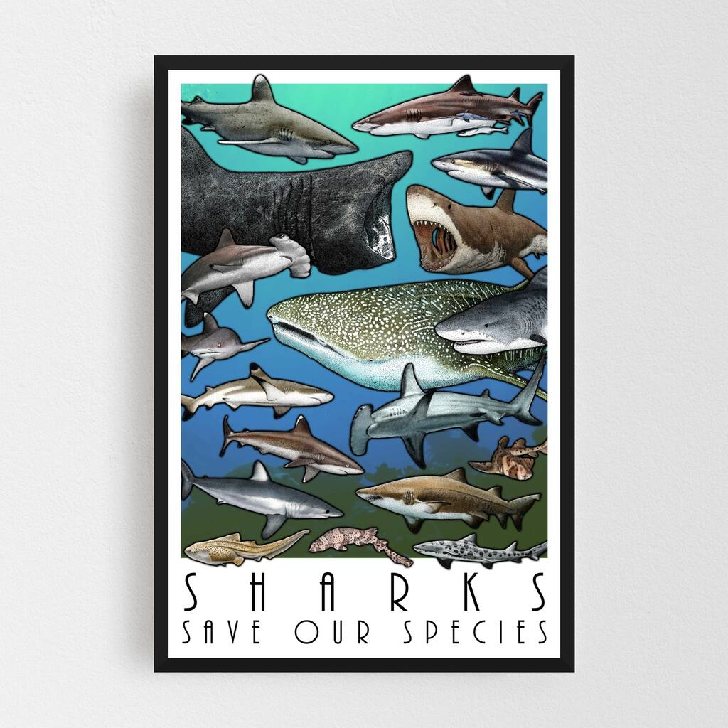 Animals Fish Hammerhead Shark Shark Framed Wall Art Print