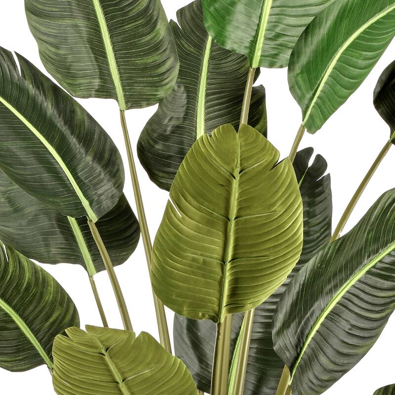 Potted UV Deluxe Traveler's Palm 6'