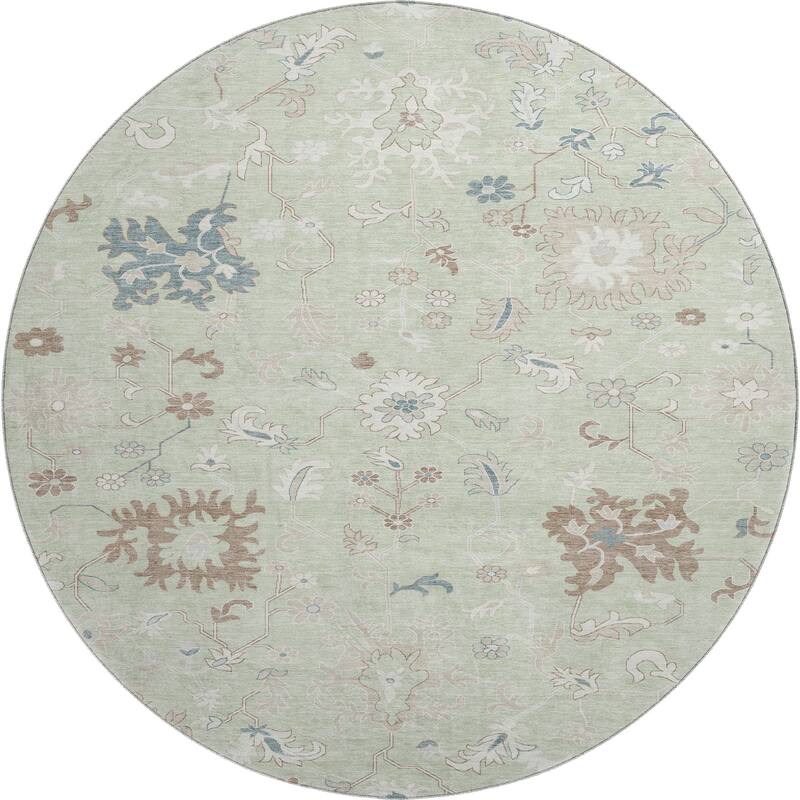 Premium Washable Super Soft Traditional Avanti Mayfield Rug