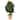 39" Schefflera Artificial Tree in Terra-Cotta Planter (Real Touch) - 13"