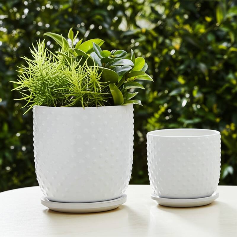 Ceramic Circular Saucer Planters Set of 2 - 6/8 in.