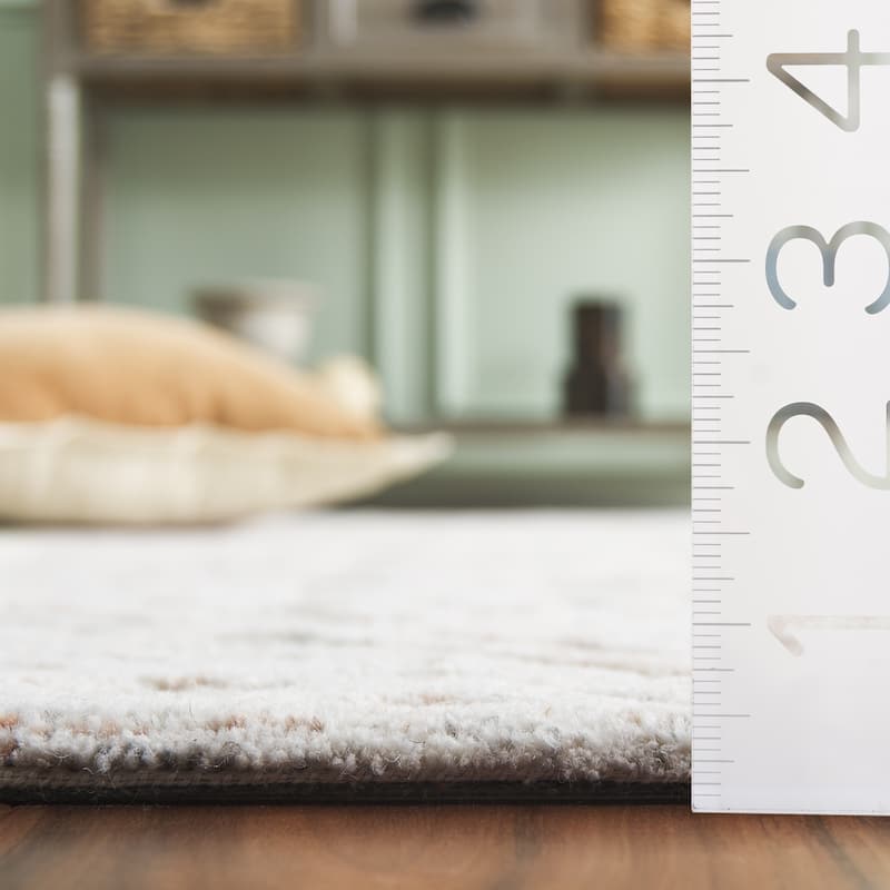 SAFAVIEH Handmade Harvest Waleria Wool Rug