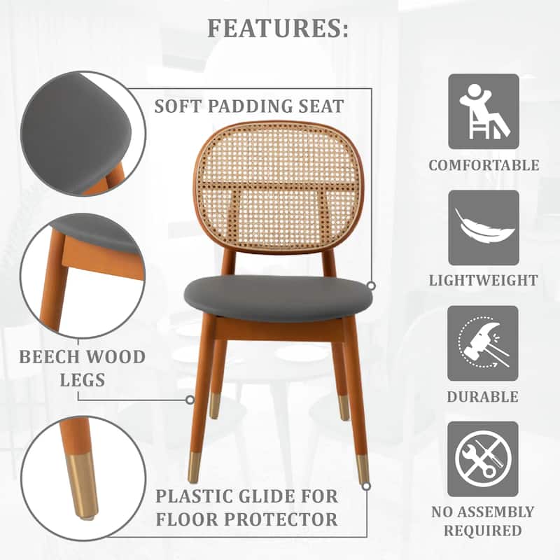 Holbeck Modern Rattan Leather Upholstered Dining Chair with Plush Padding Beech Wood Legs for Stylish Homes Set of 2