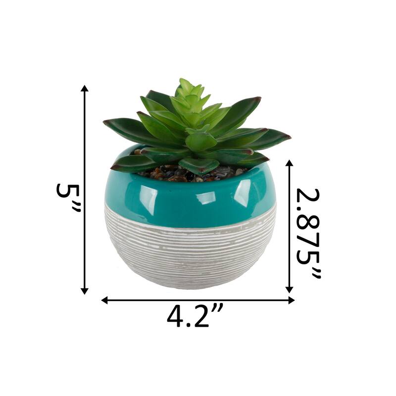 Succulent in Two tone lines pattern ceramic pot ,Teal - ONE-SIZE