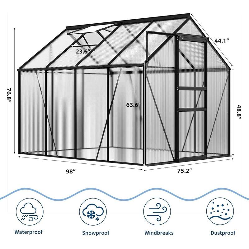 6 x 8 FT Winter Polycarbonate Greenhouse for Outdoors Gardening, Black
