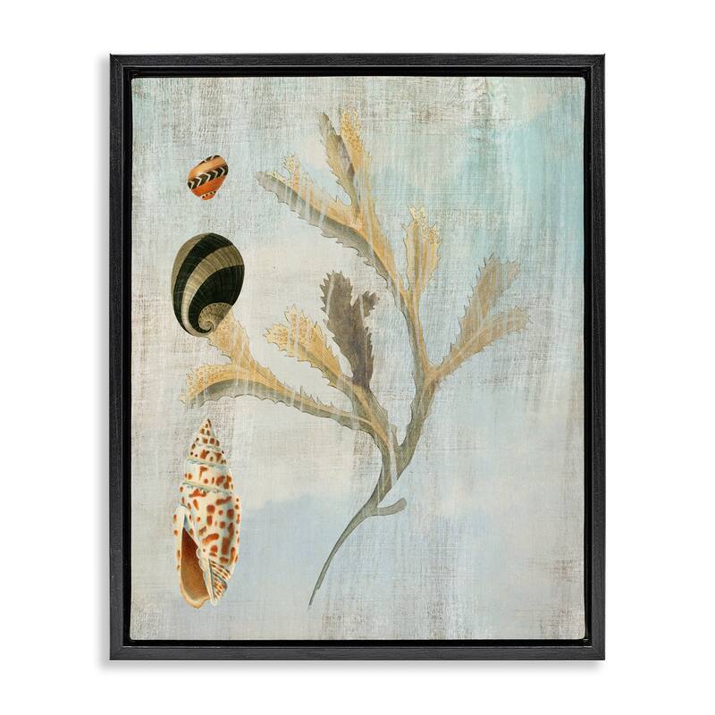 Stupell Mixed Seashells & Coral Framed Floater Canvas Wall Art Design By Susan Arnot - 17 x 21 - Black