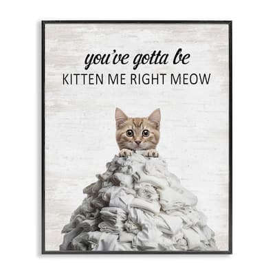 Stupell Kitten & Laundry Pile Framed Giclee Art Design By Lettered and Lined