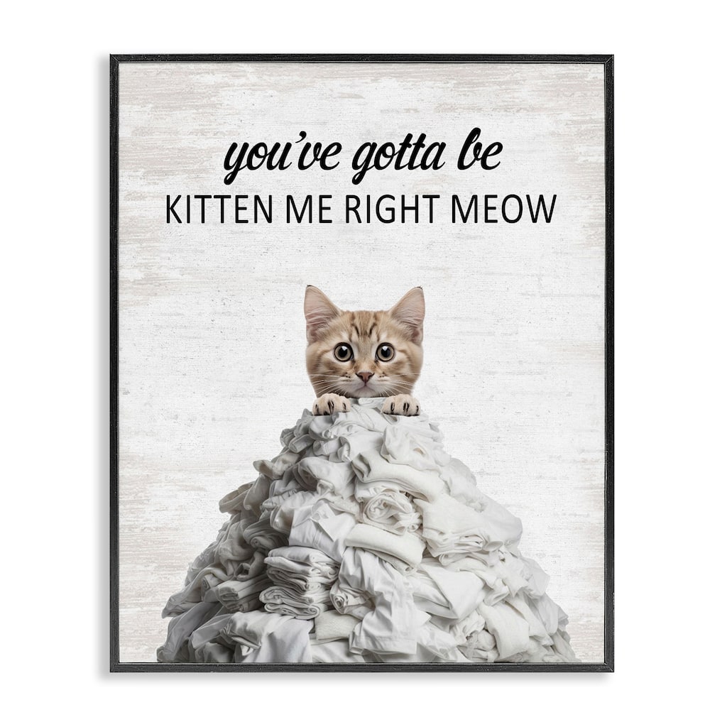 Stupell Kitten & Laundry Pile Framed Giclee Art Design By Lettered and Lined