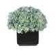 preview thumbnail 2 of 21, Faux Hydrangea in Small Black Cube Ceramic Vase