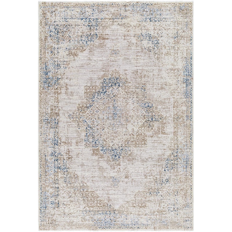 Noyes Traditional Medallion Area Rug