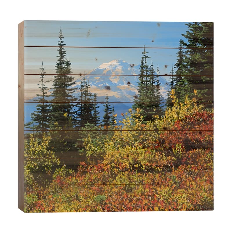 An Autumn Landscape In The Foreground, Mount Rainier National Park, Washington Print On Wood by Charles Gurche - Multi-Color - 26x26x1.5