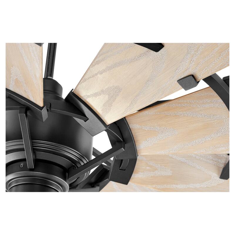 Quorum International 52" 10 Blade Ceiling Fan with Wall Control
