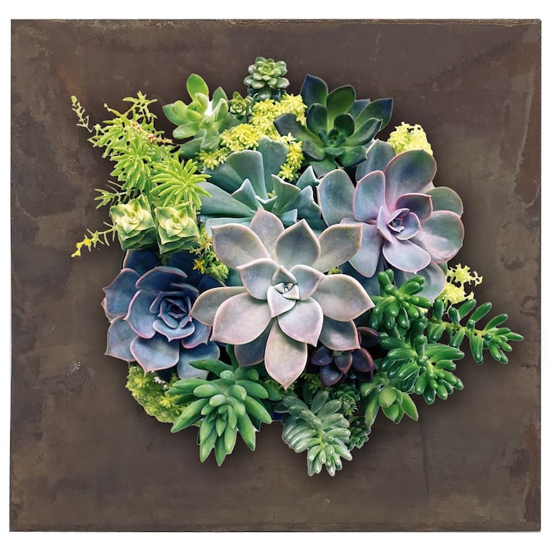 Carson Carrington Tasback Galvanized Steel/ Zinc Succulent Planter