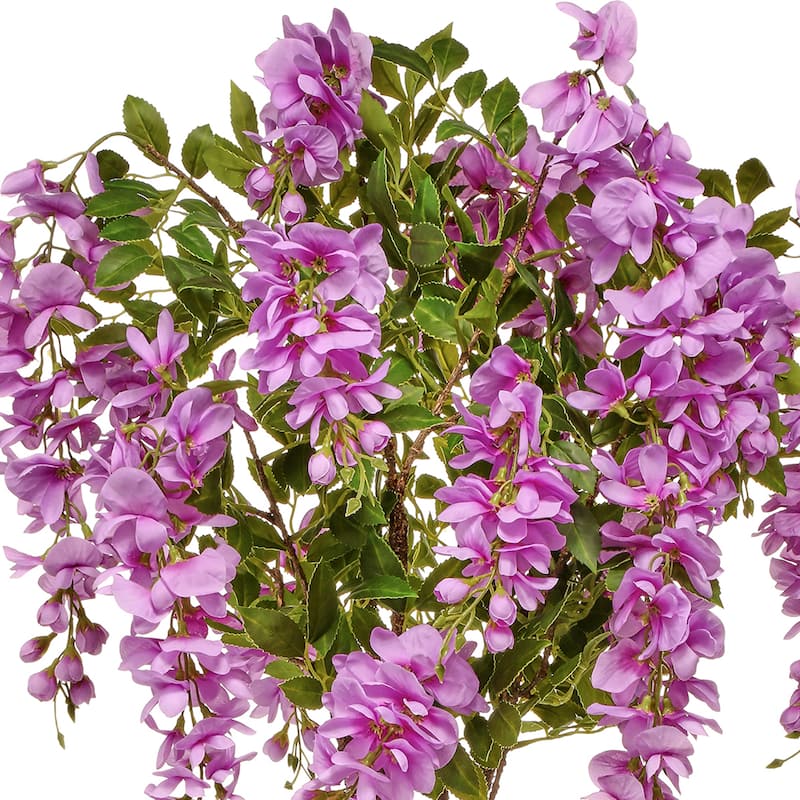 Potted Flowering Wisteria Tree 48"
