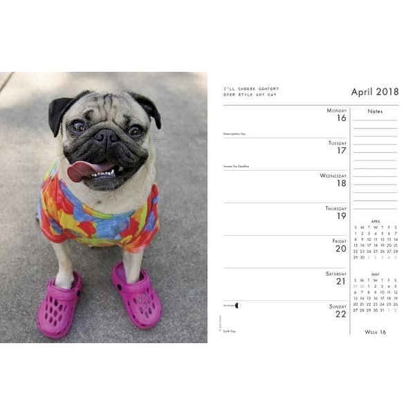 Shop Doug The Pug Planner Pug By Willow Creek Press Overstock