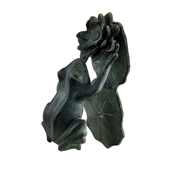 Nose to Petal Frog /&Flower Verdigris Finish Cast Aluminum Door Knock