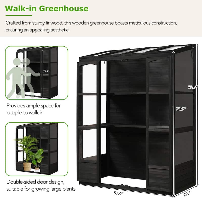 78"H Fir Wood Walk-in Greenhouse with 4 Skylights & 2 Folding Shelves