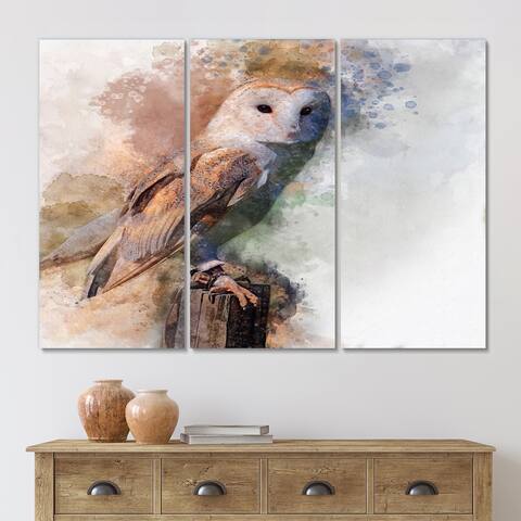 Designart "Portrait Of A Barn Owl I" Traditional Canvas Wall Art Print