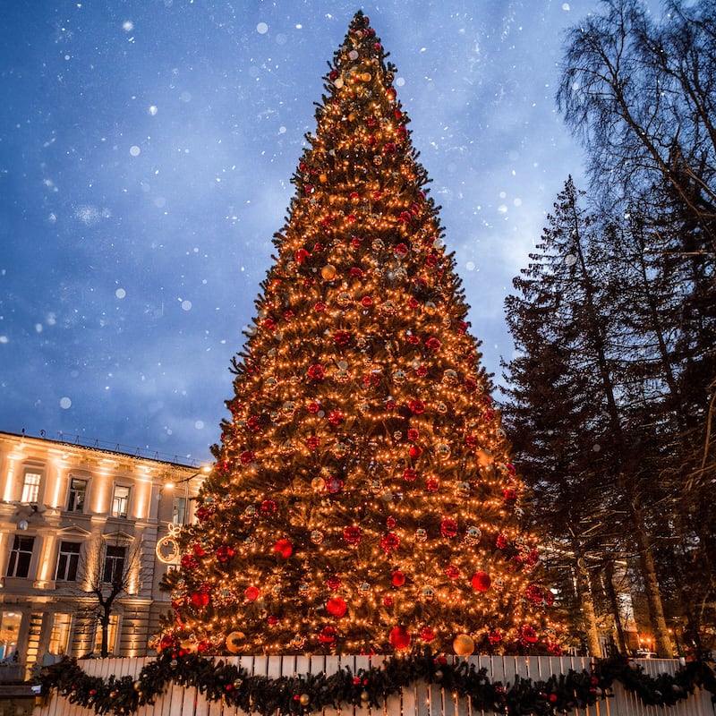18' Pre-Lit Olympia Pine Artificial Commercial Tower Christmas Tree - Warm White LED Lights - over-10-feet