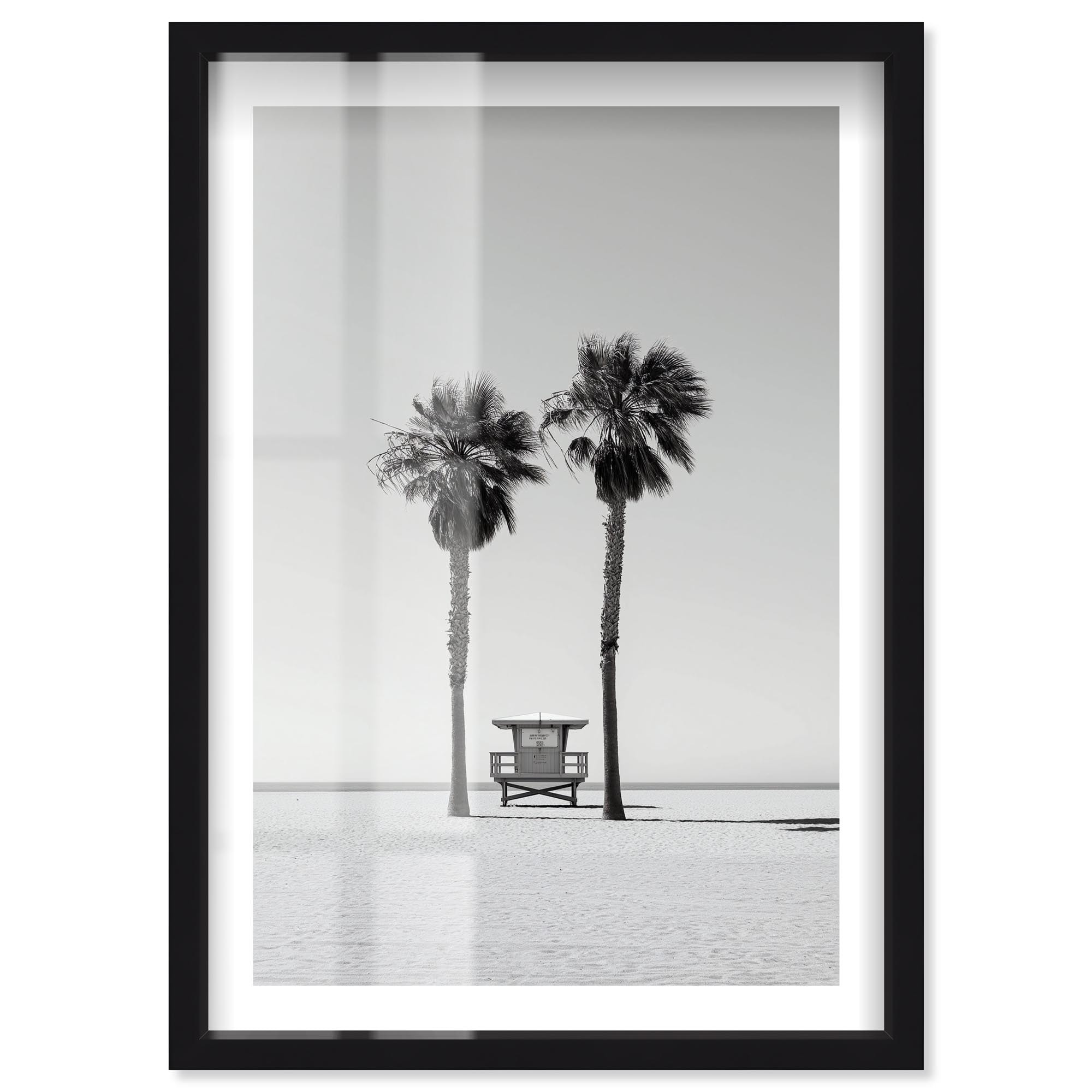 Twin Palms Photography Wall Art Shadowbox Print by Notoriart