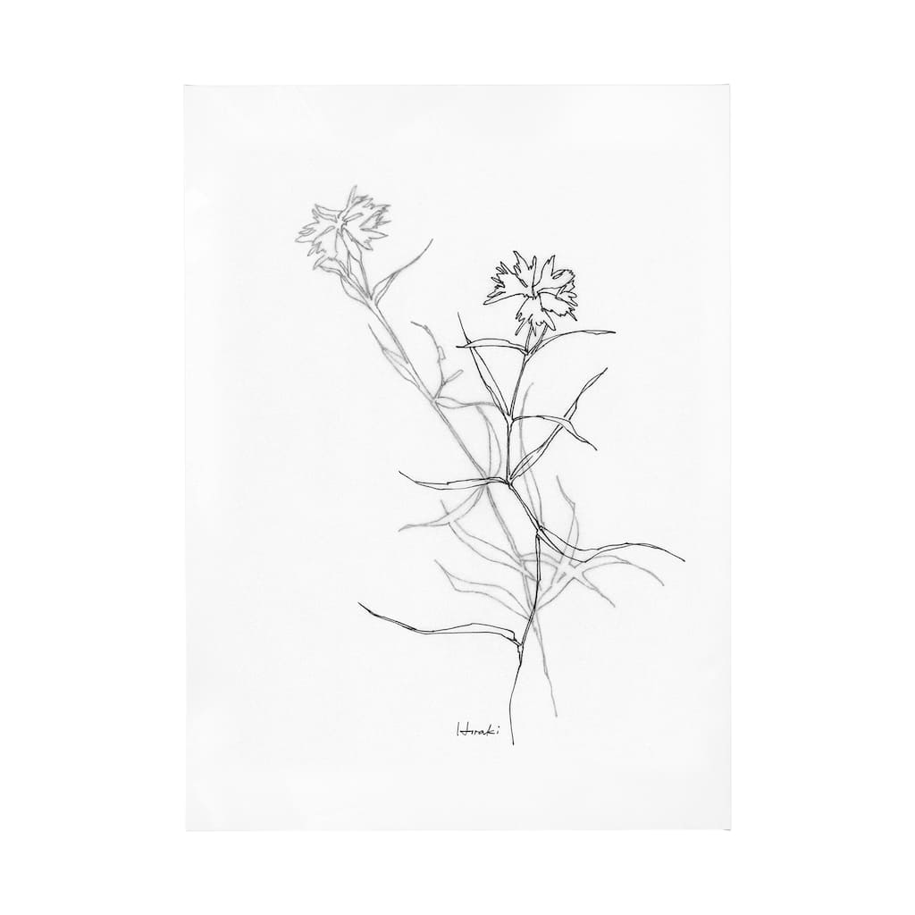 Arrangement II (44 x 60) Canvas Art Print