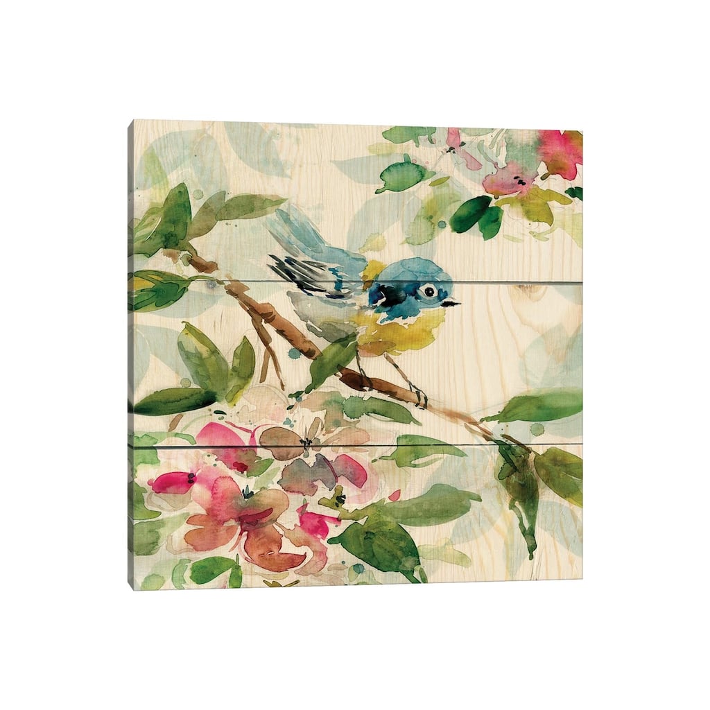 iCanvas "Birds and Blossoms I" by Carol Robinson Canvas Print