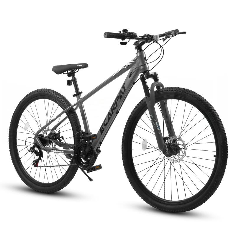 29 Inch Mountain Bike 21 Speed