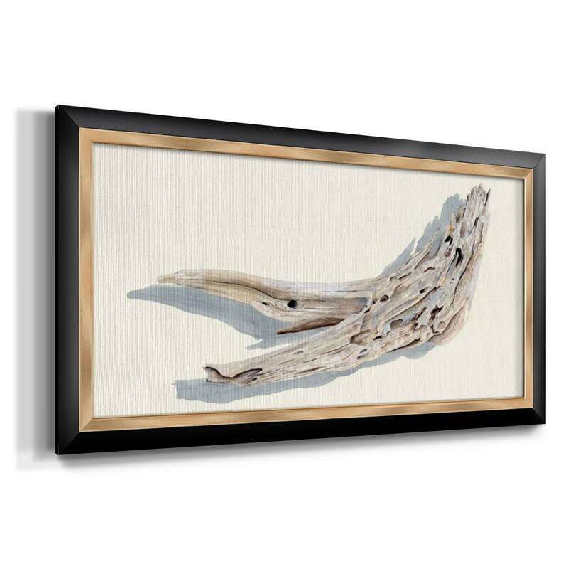 Driftwood Study III Premium Framed Canvas- Ready to Hang