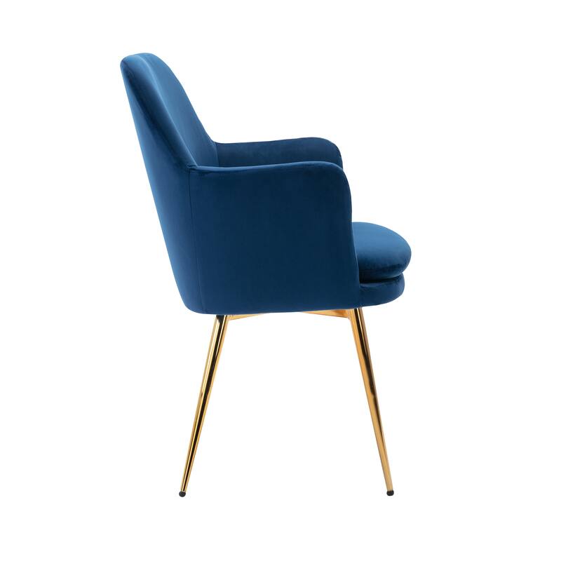 Porthos Home Gemma Velvet and Goldtone Metal Accent Chair