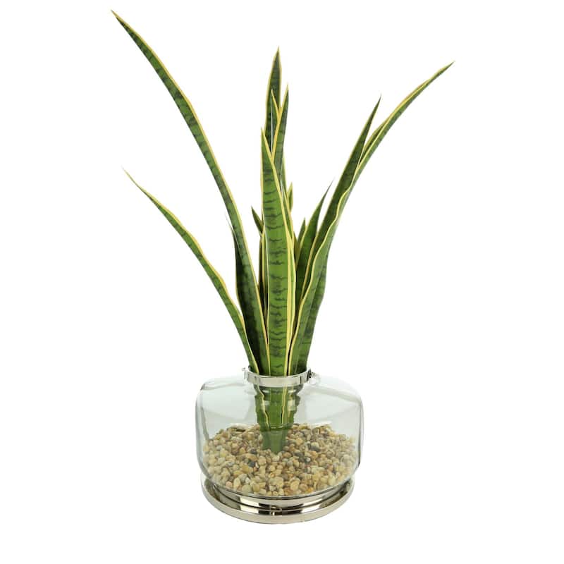 4 ft Snake Plant Arranged in a Glass Vase with Rocks - Green