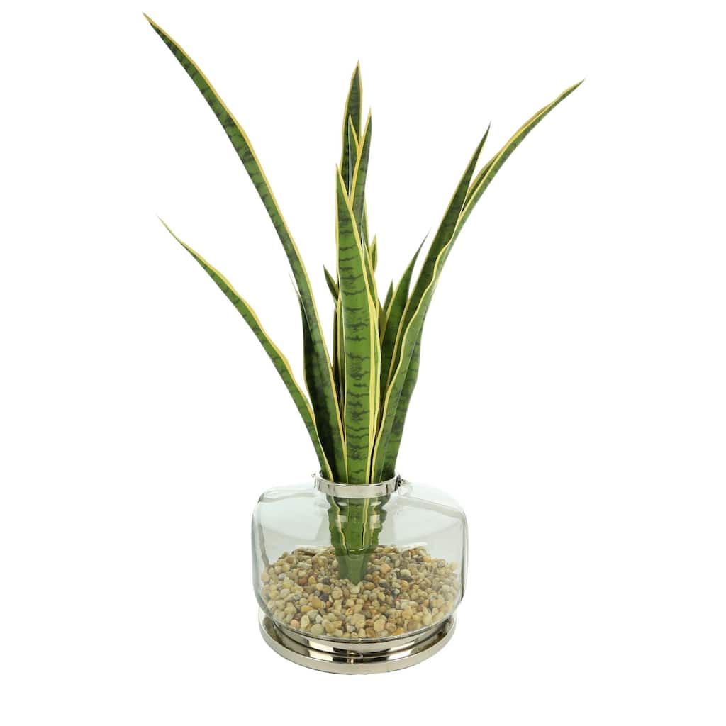 4 ft Snake Plant Arranged in a Glass Vase with Rocks - Green