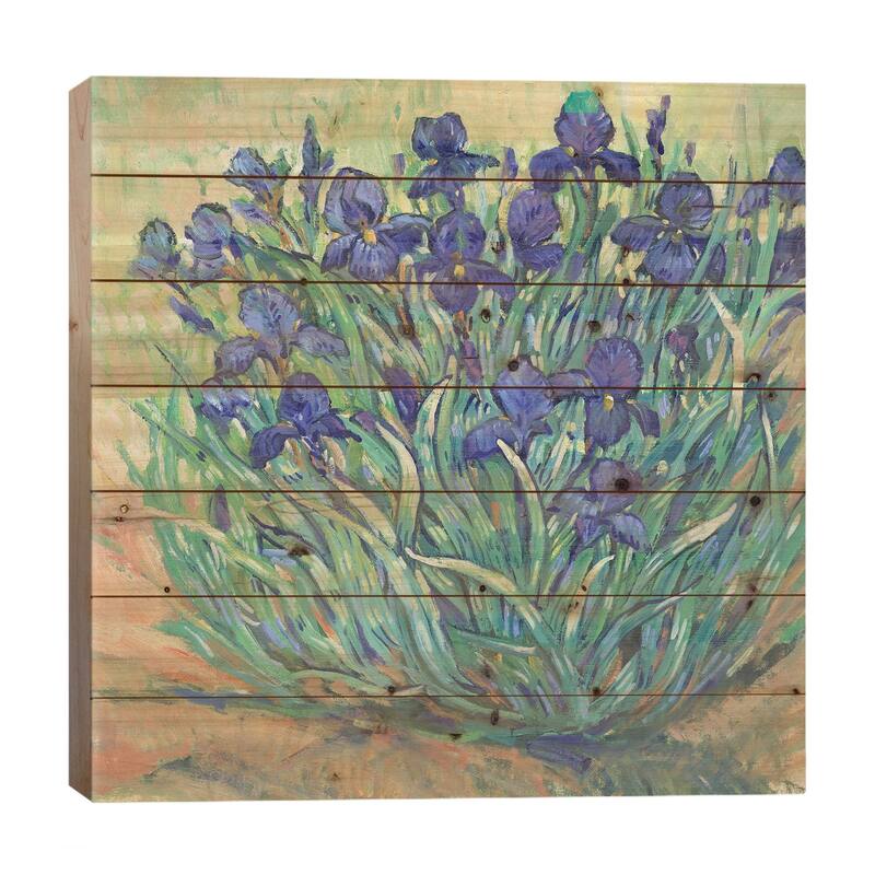 Irises in Bloom I Print On Wood by Tim OToole - Multi-Color - 26x26x1.5