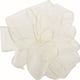 Spring Ivory Sheer Wired Ribbon - Bed Bath & Beyond - 36879927