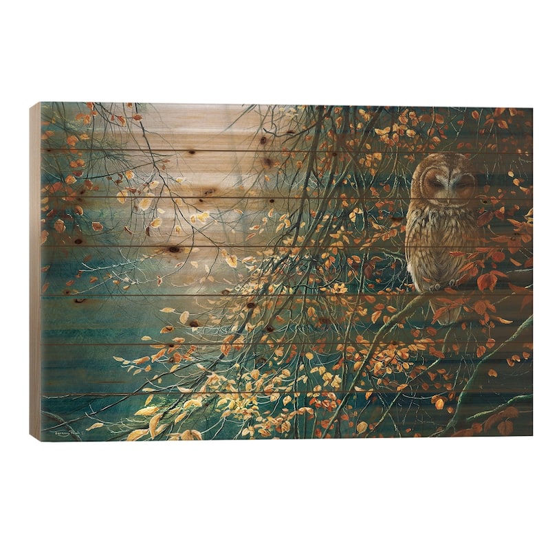 Tawny Owl Print On Wood by Jeremy Paul - Multi-Color - 18x26x1.5