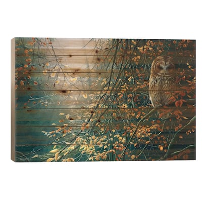 Tawny Owl Print On Wood by Jeremy Paul - Multi-Color