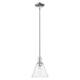 Option Polished Nickel / Seedy