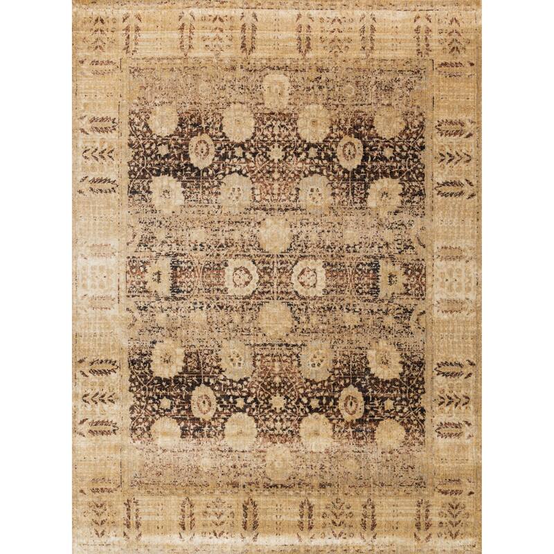 Alexander Home Contessa Traditional Floral Distressed Border Rug - 5' 3" x 5' 3" - Coffee/Gold - Round