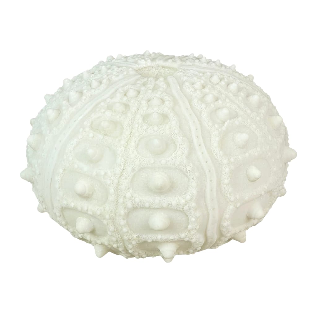 Coastal Sea Urchin Lamp, 12" Resin Sculpture With Warm Glow, Decorative Accent - 7 X 11.5 X 11.5 inches