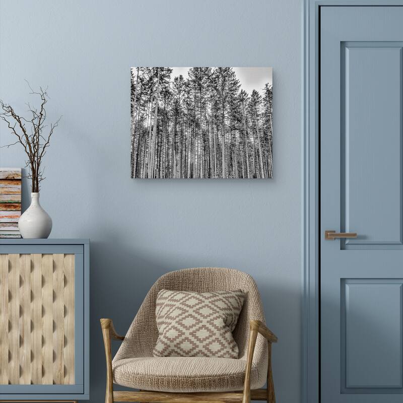 The Forest by Sossi Madzounian Canvas Art Print