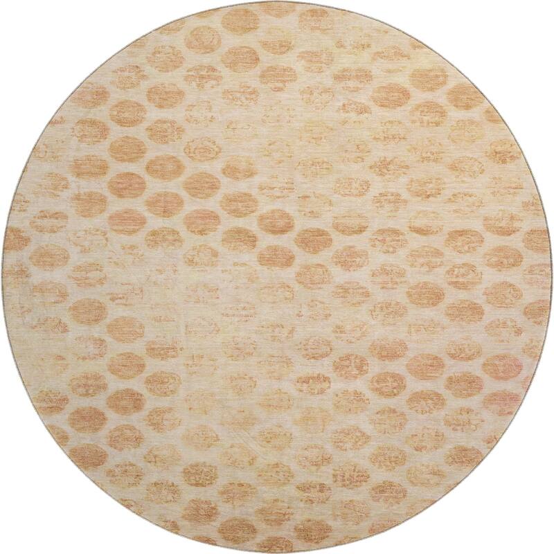 Premium Washable Super Soft Vintage Dotty Mayfield Rug
