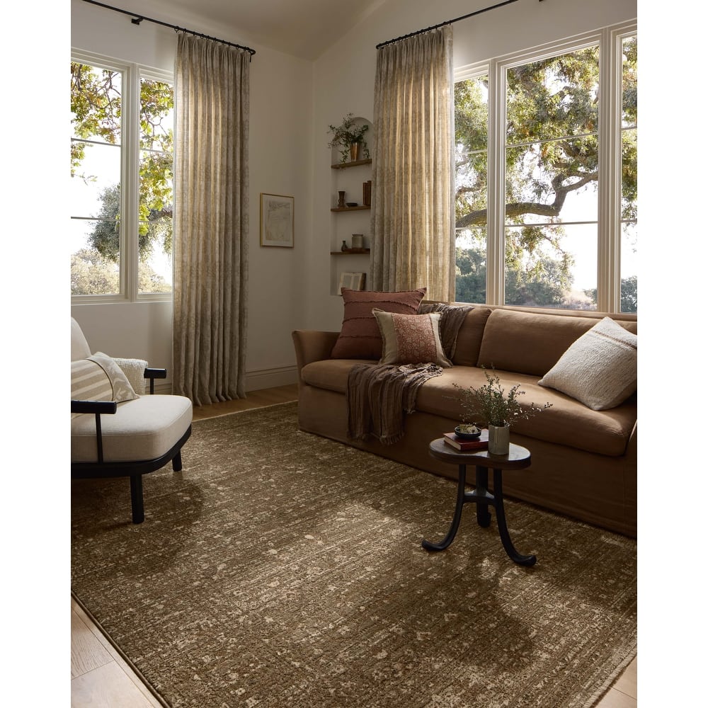Alexander Home Halden Traditional Area Rug