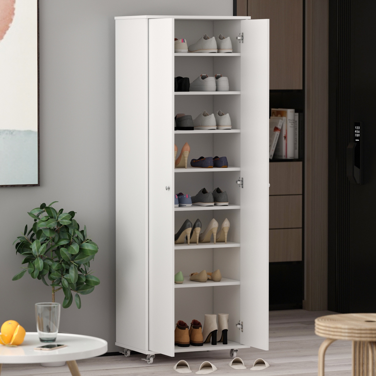 Tall shoe storage cabinet shop